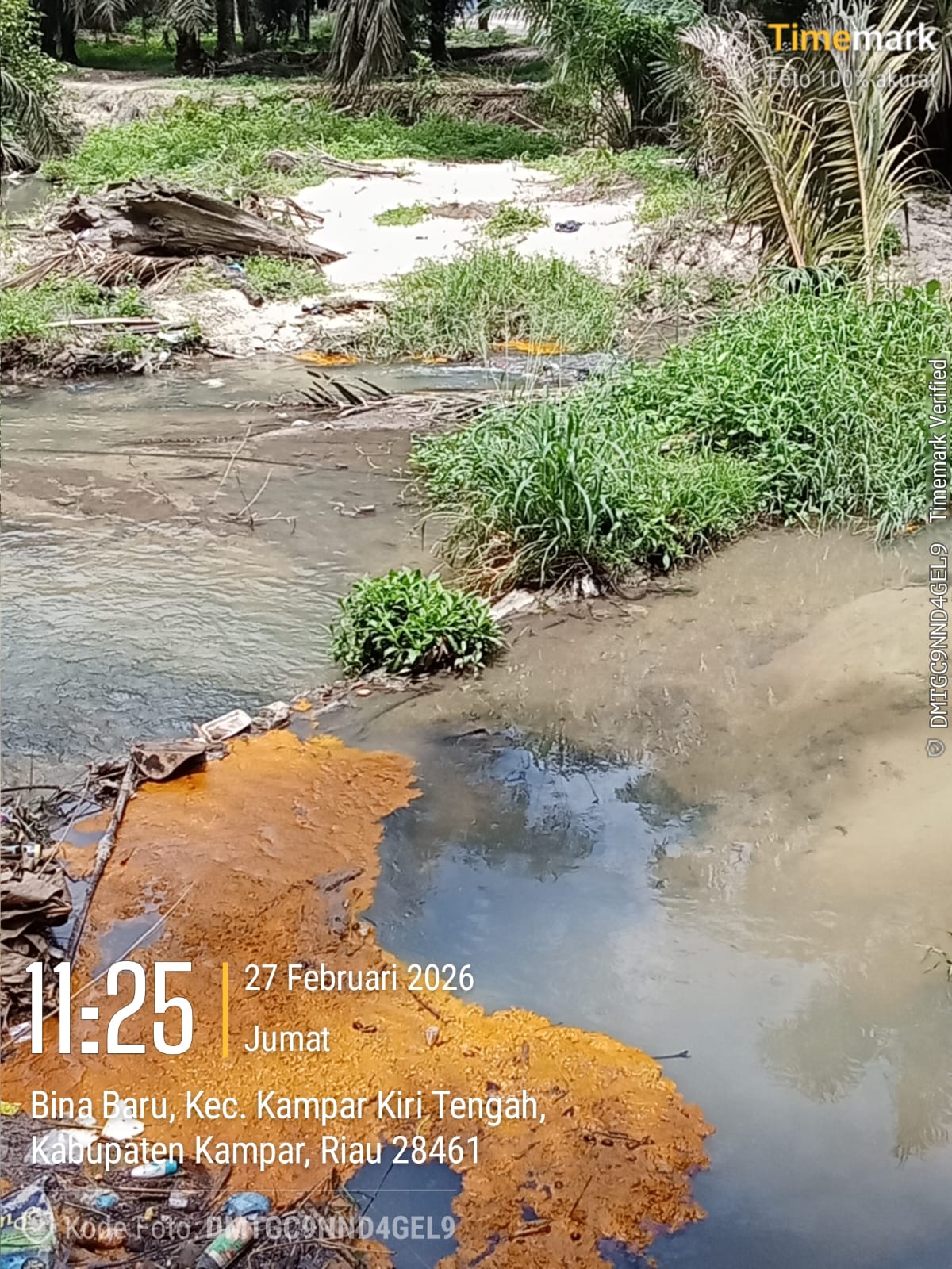 IMG-20260310-WA0178