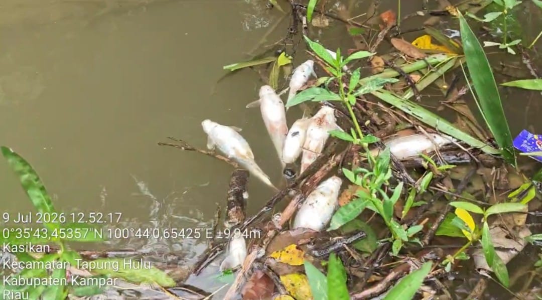 IMG-20260709-WA0373