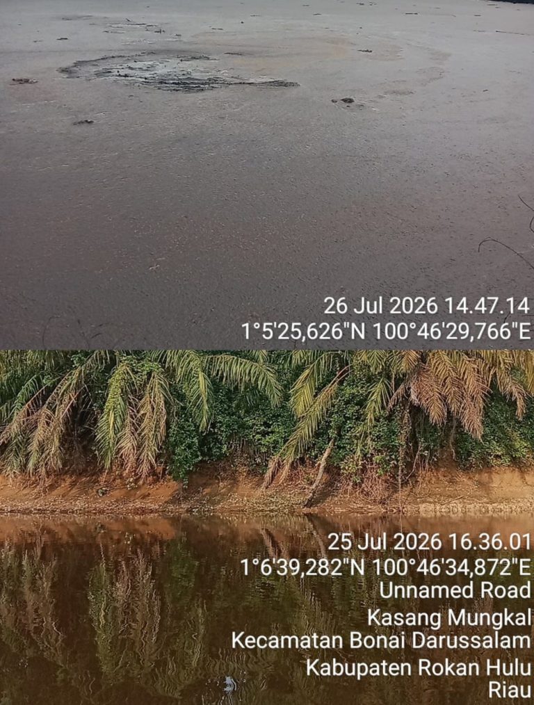 Screenshot_20260917_203642